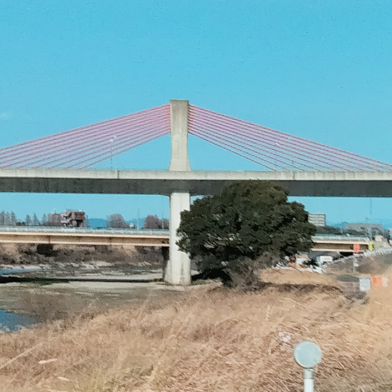 るり🎶🎤🌷からの大事な話