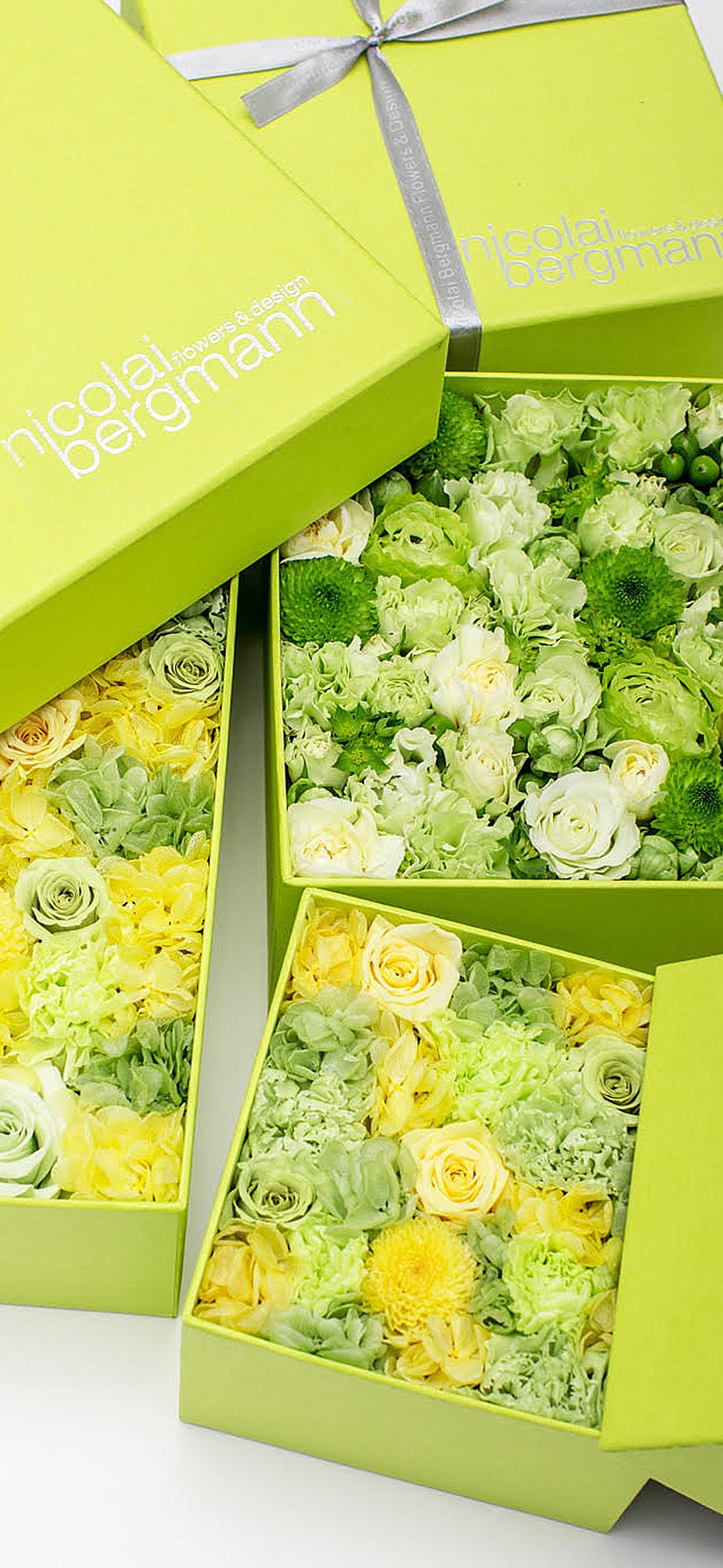 まみくん＆ちゑくんの昼下がりチャット