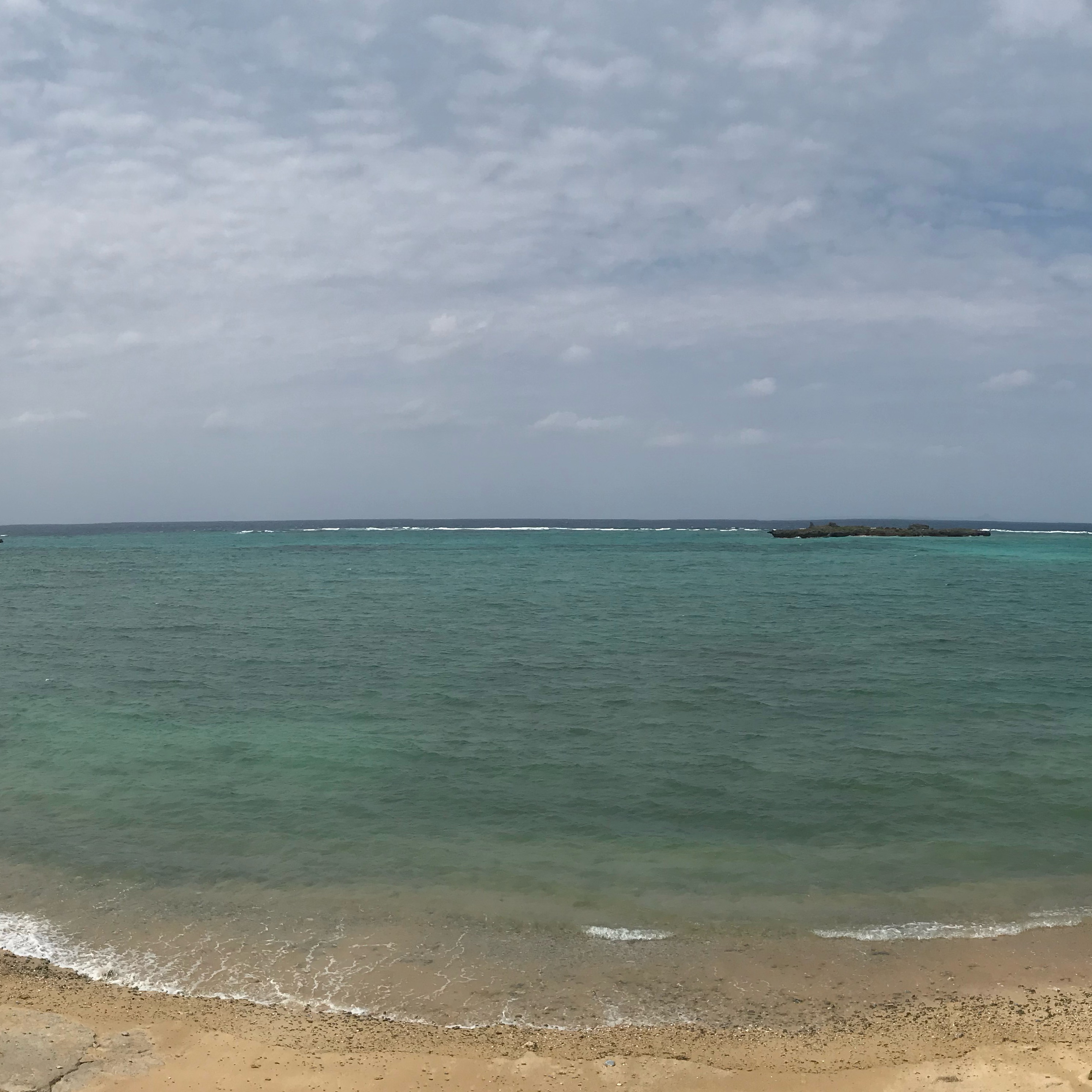 ヒストリー 学生編