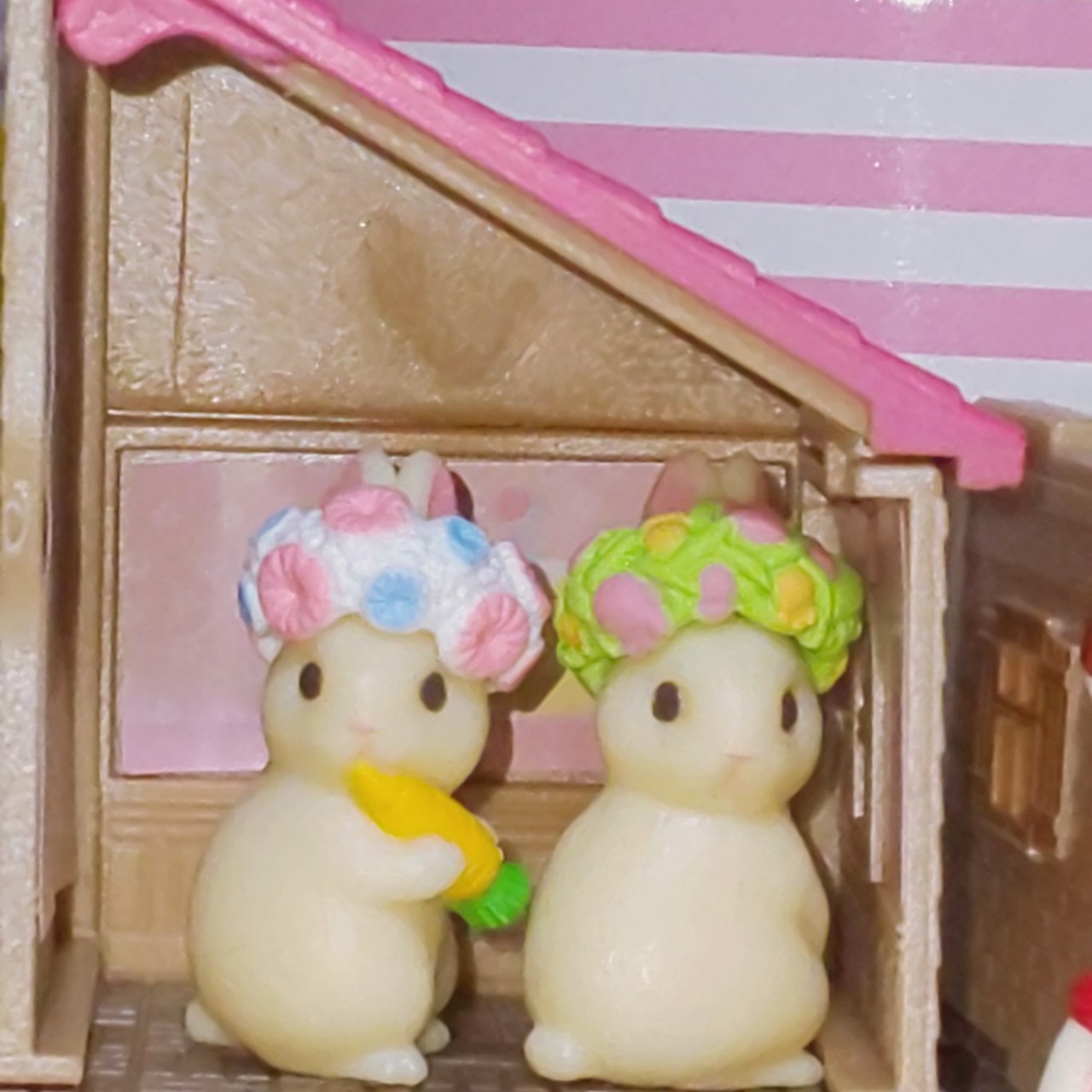 🐰ウサウサ🐰