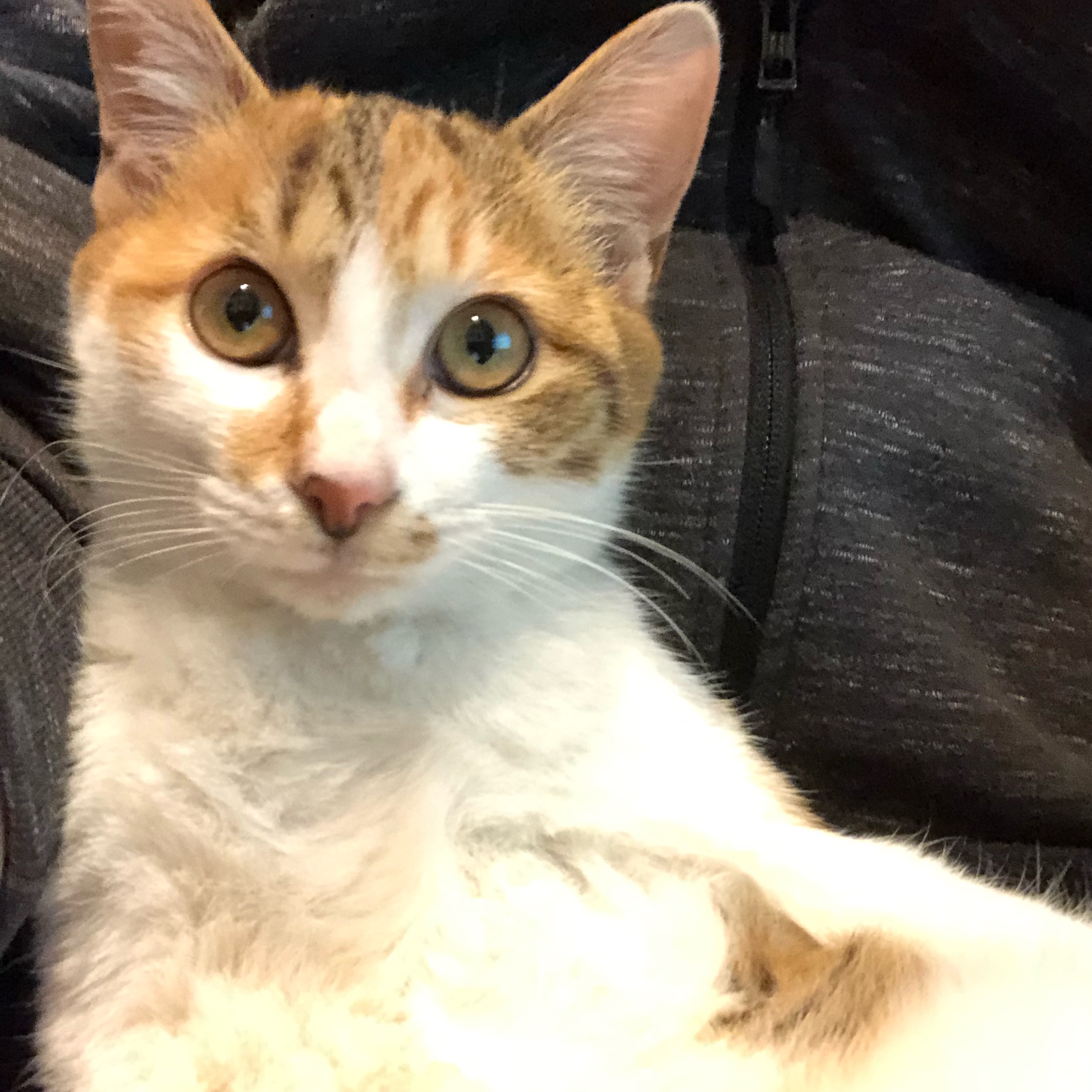 こばなし 「まみれた男」