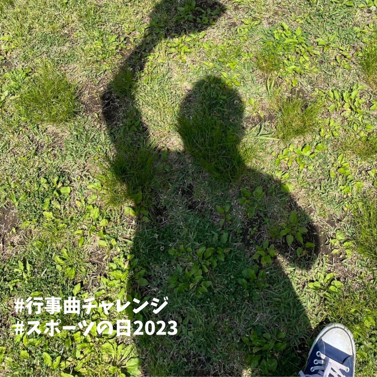 タッチ【野球】