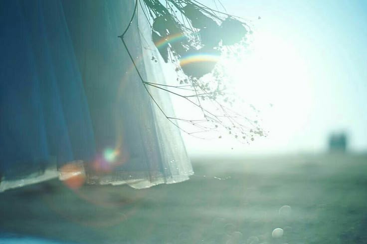 杏里 4曲