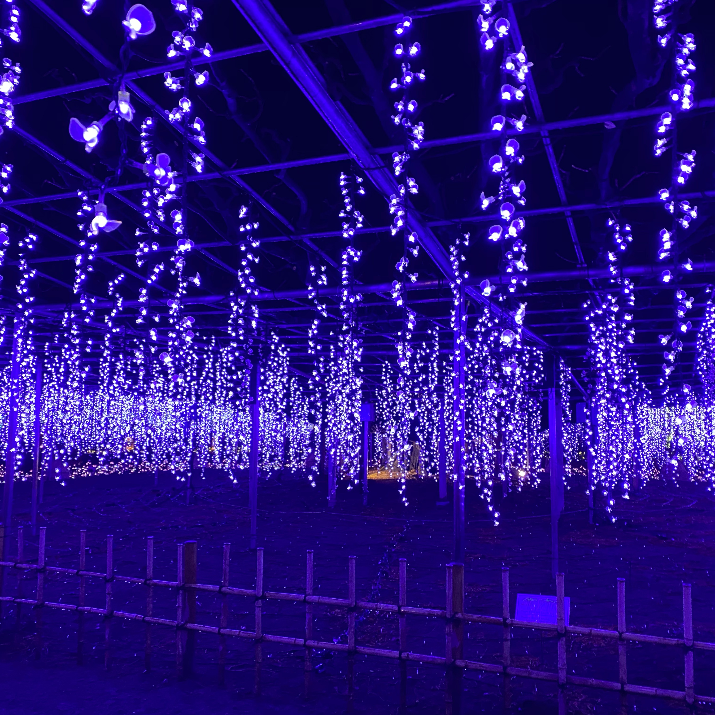 ディズニー会議！