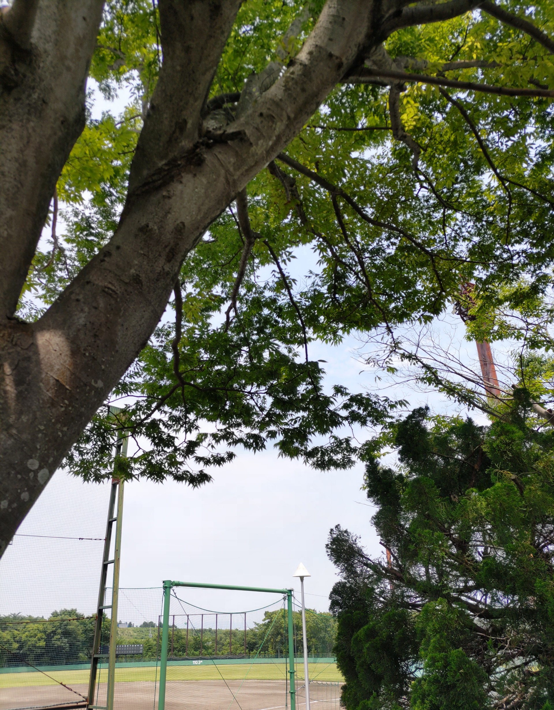 けんかのきもち