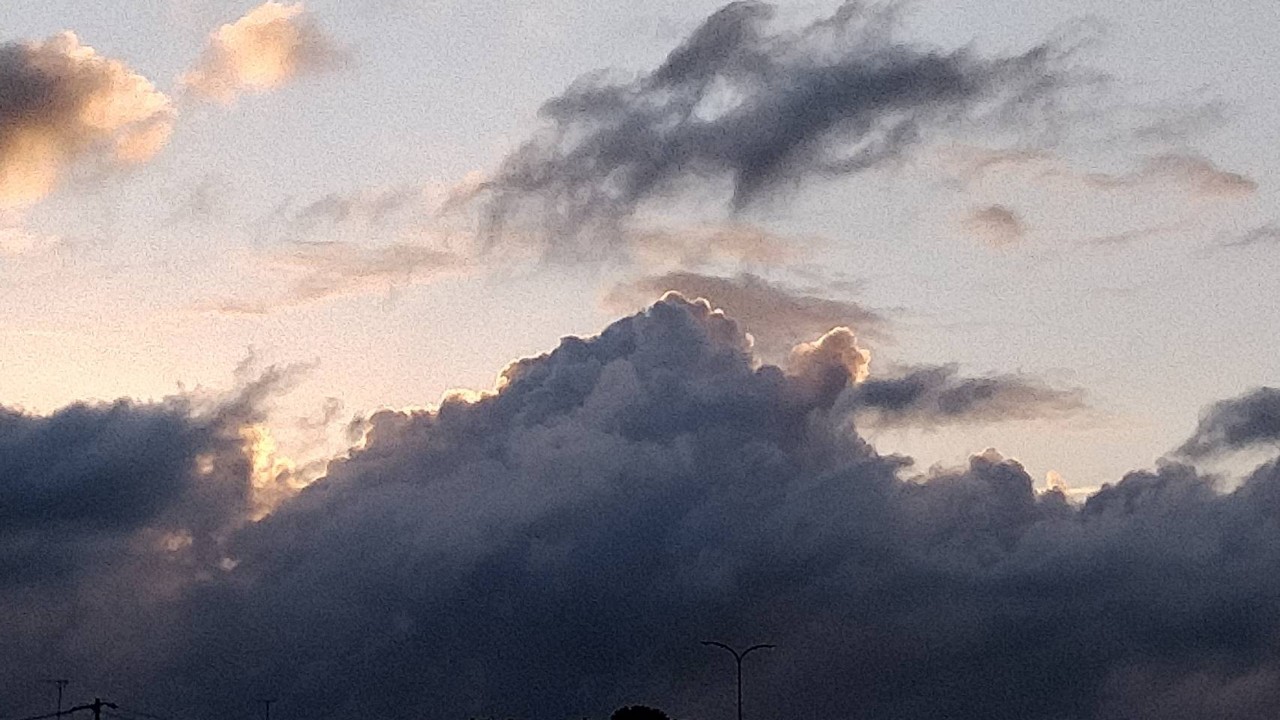 ﾟзﾟ)ﾉ　ﾁｨｰｯｽ