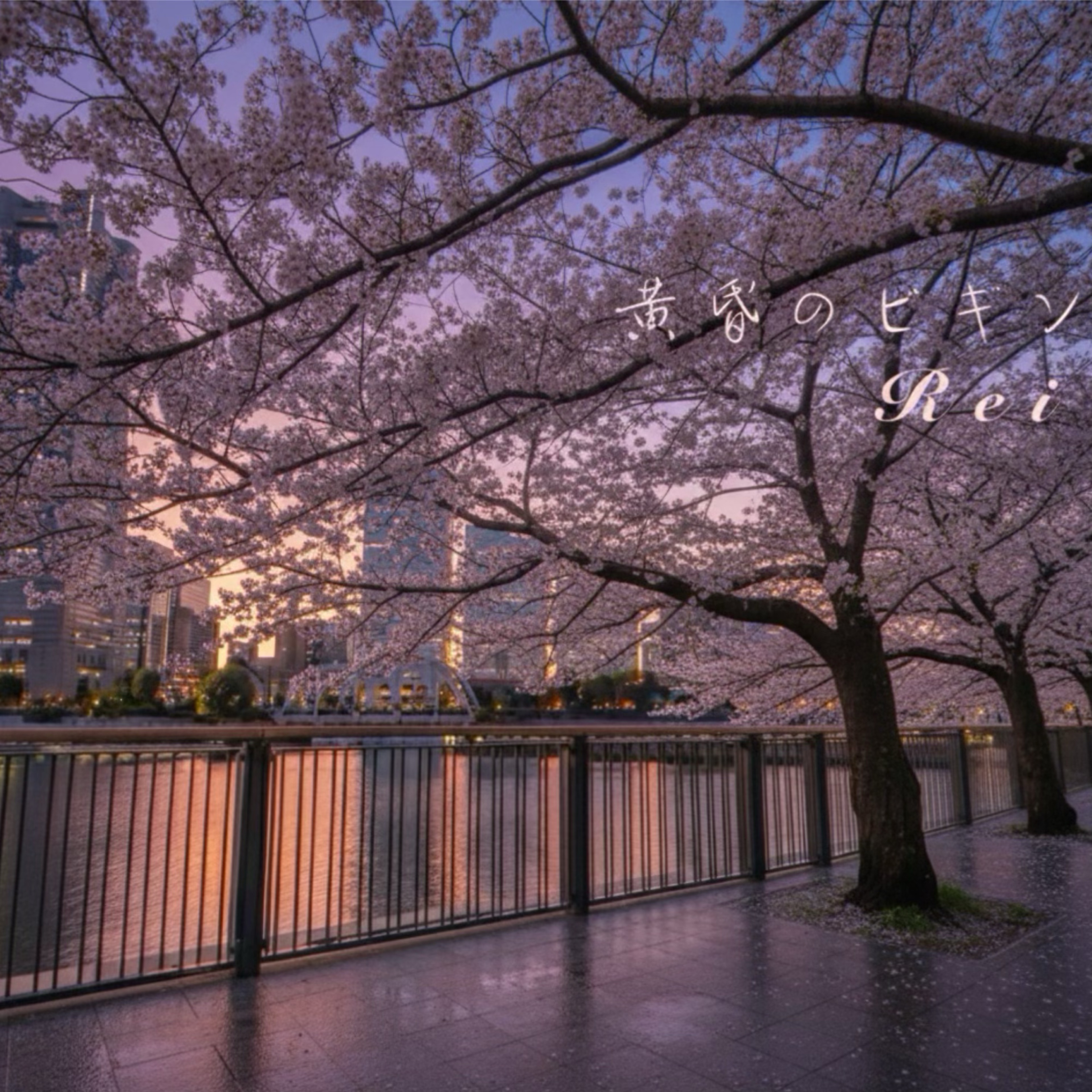 黄昏のビギン/Rei