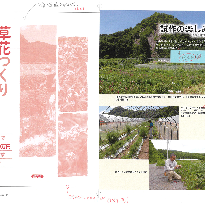 2026－03－03　近況　本の発行4月　オランダの花様子