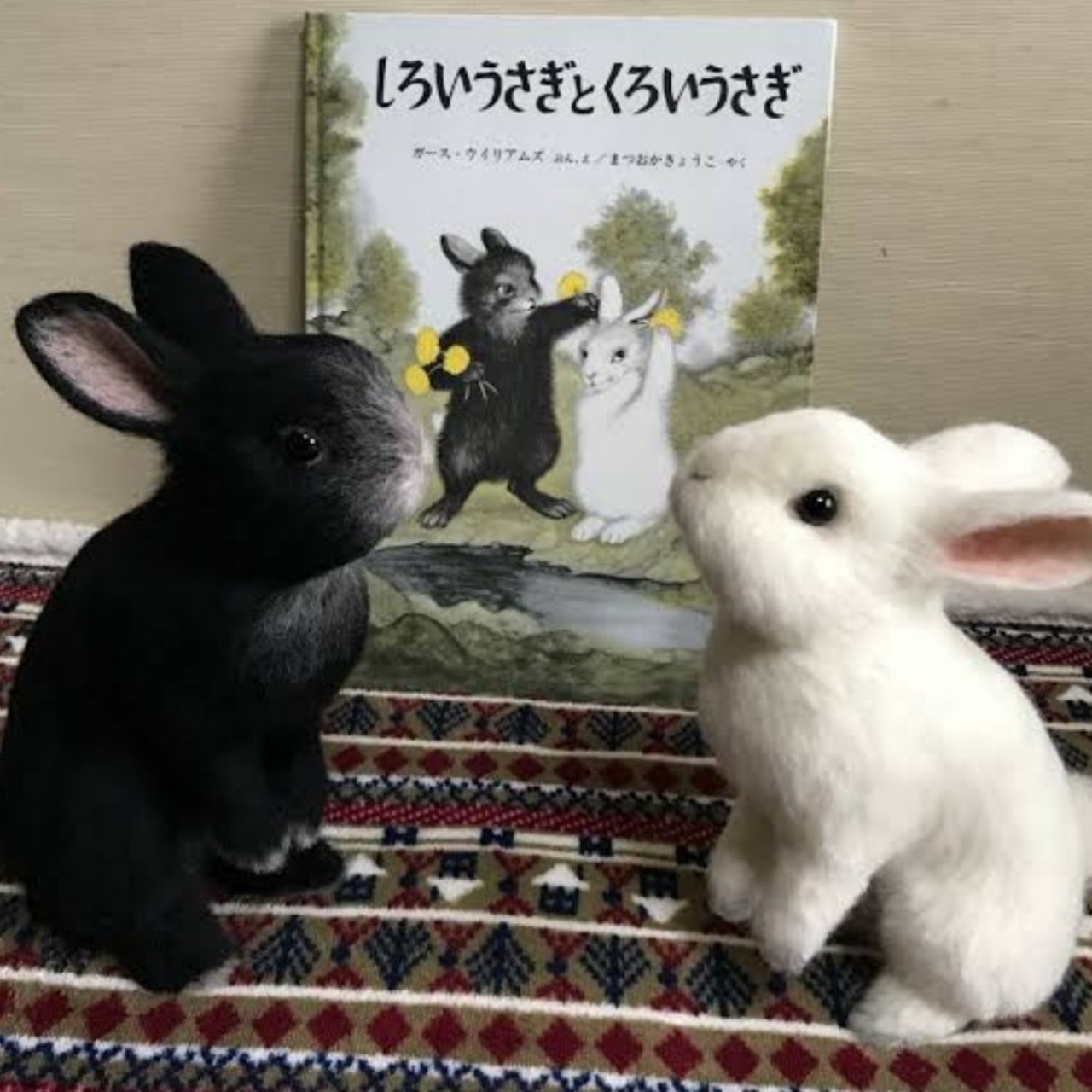 【しろいうさぎ と くろいうさぎ】