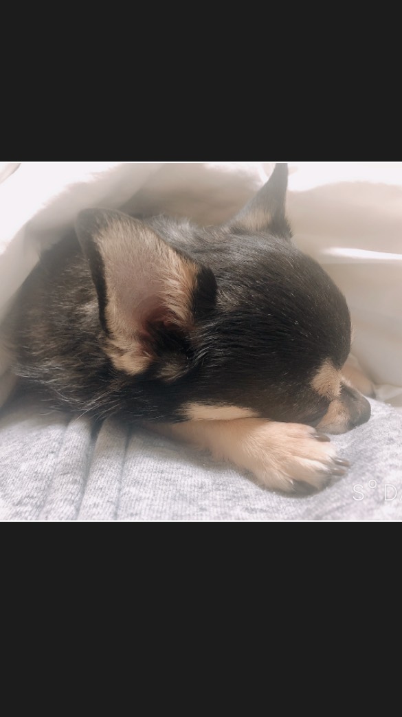 英語禁止💋💋💋