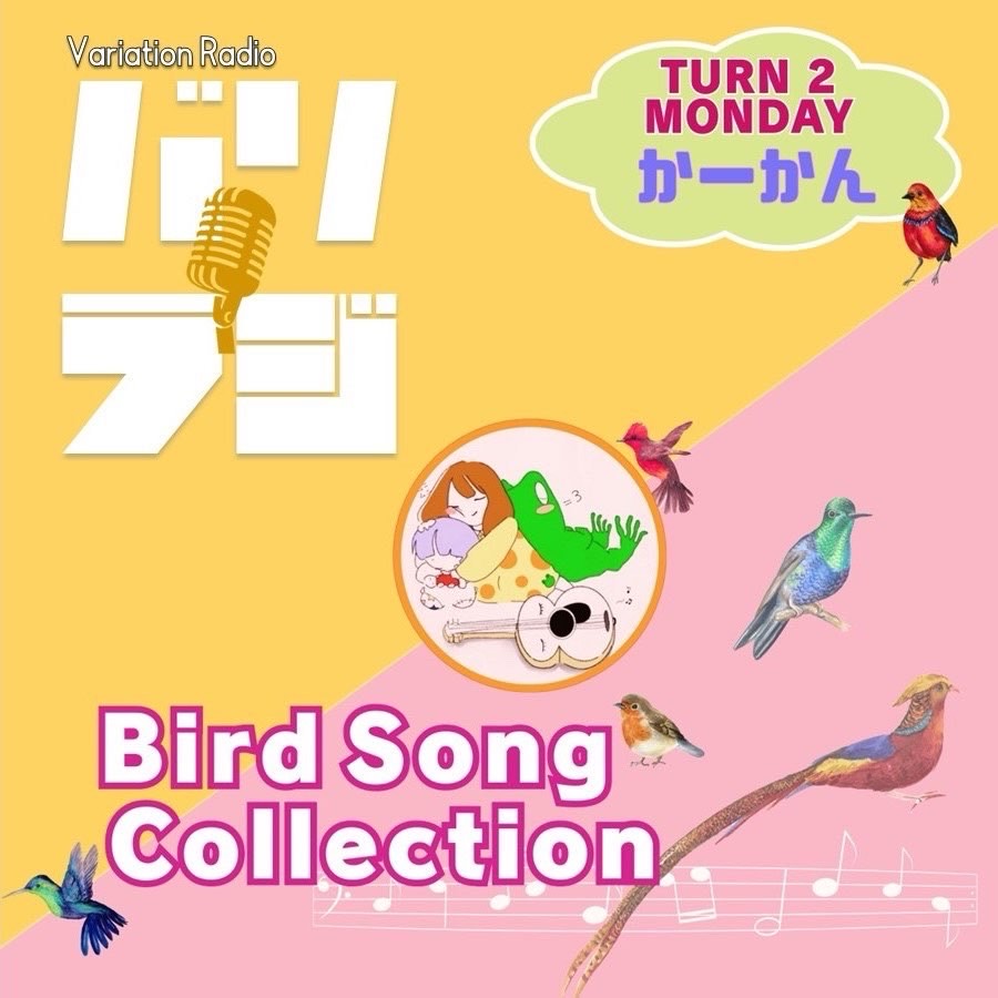1096  「海」のつく鳥？👵
