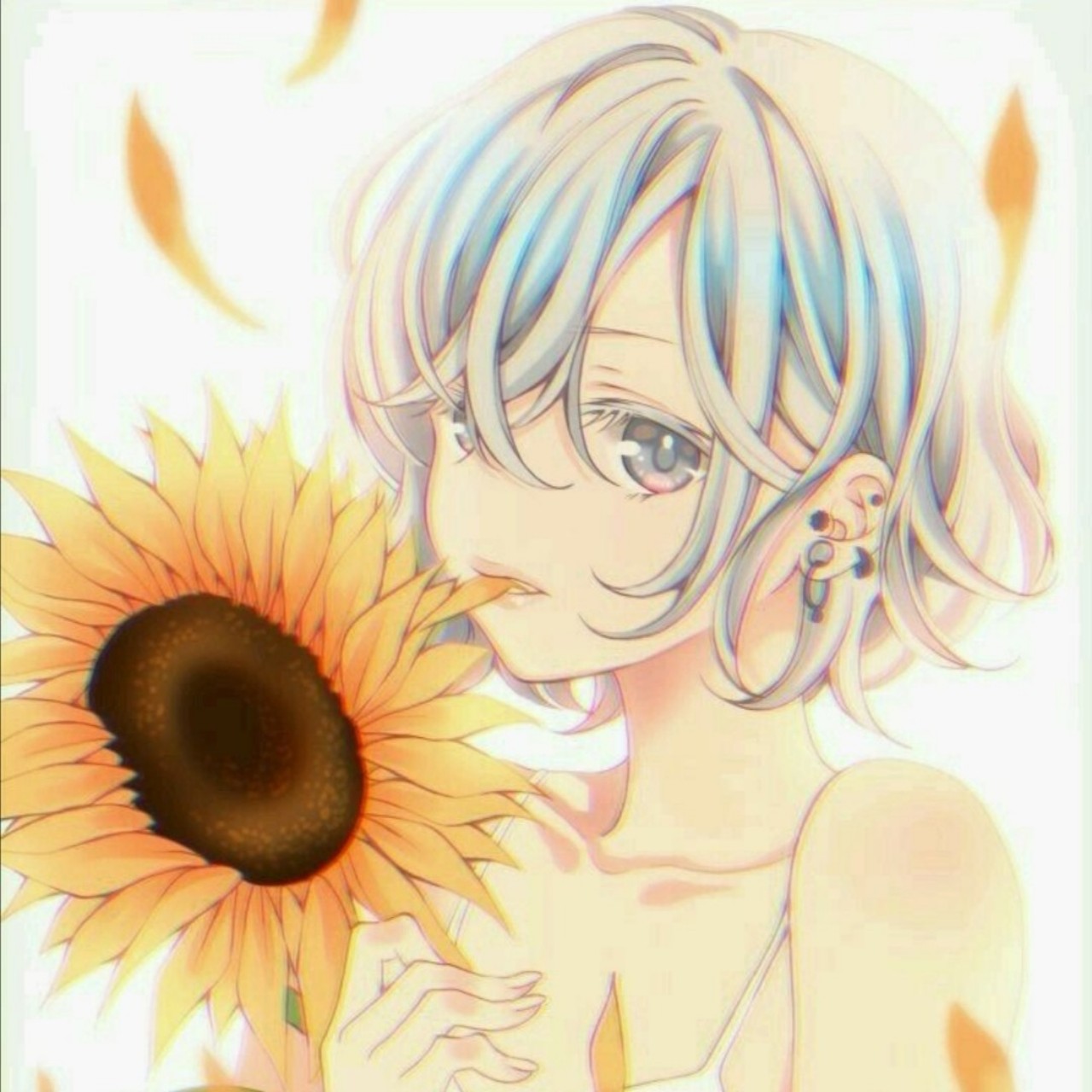 ハルジオン