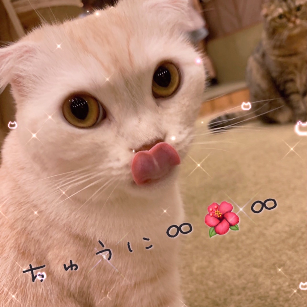 メンヘラおじいさんとおばあさん