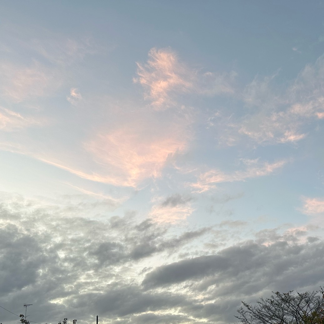 琥珀揚げ  北大路魯山人