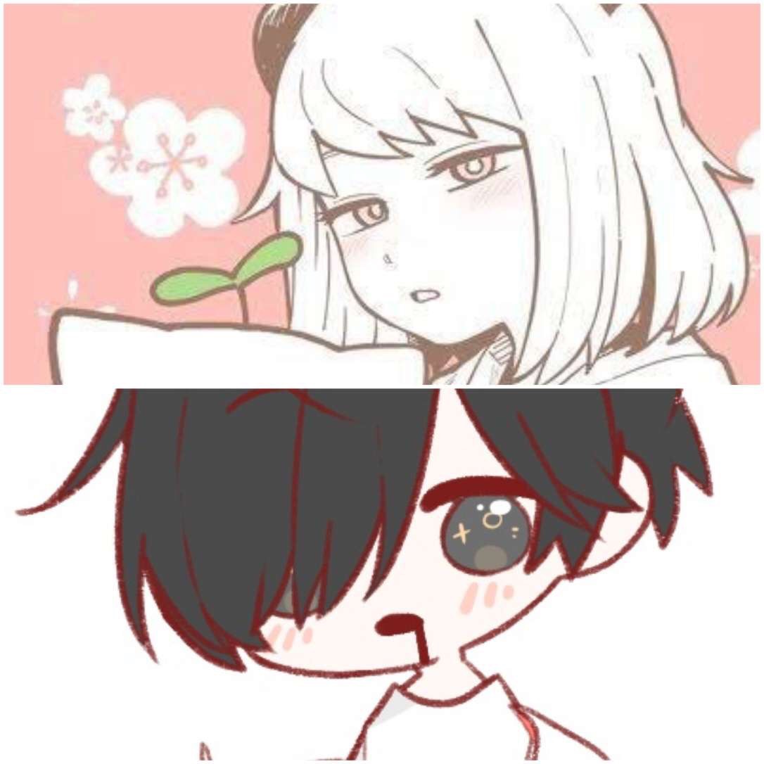 けんせいと初コラボ枠!