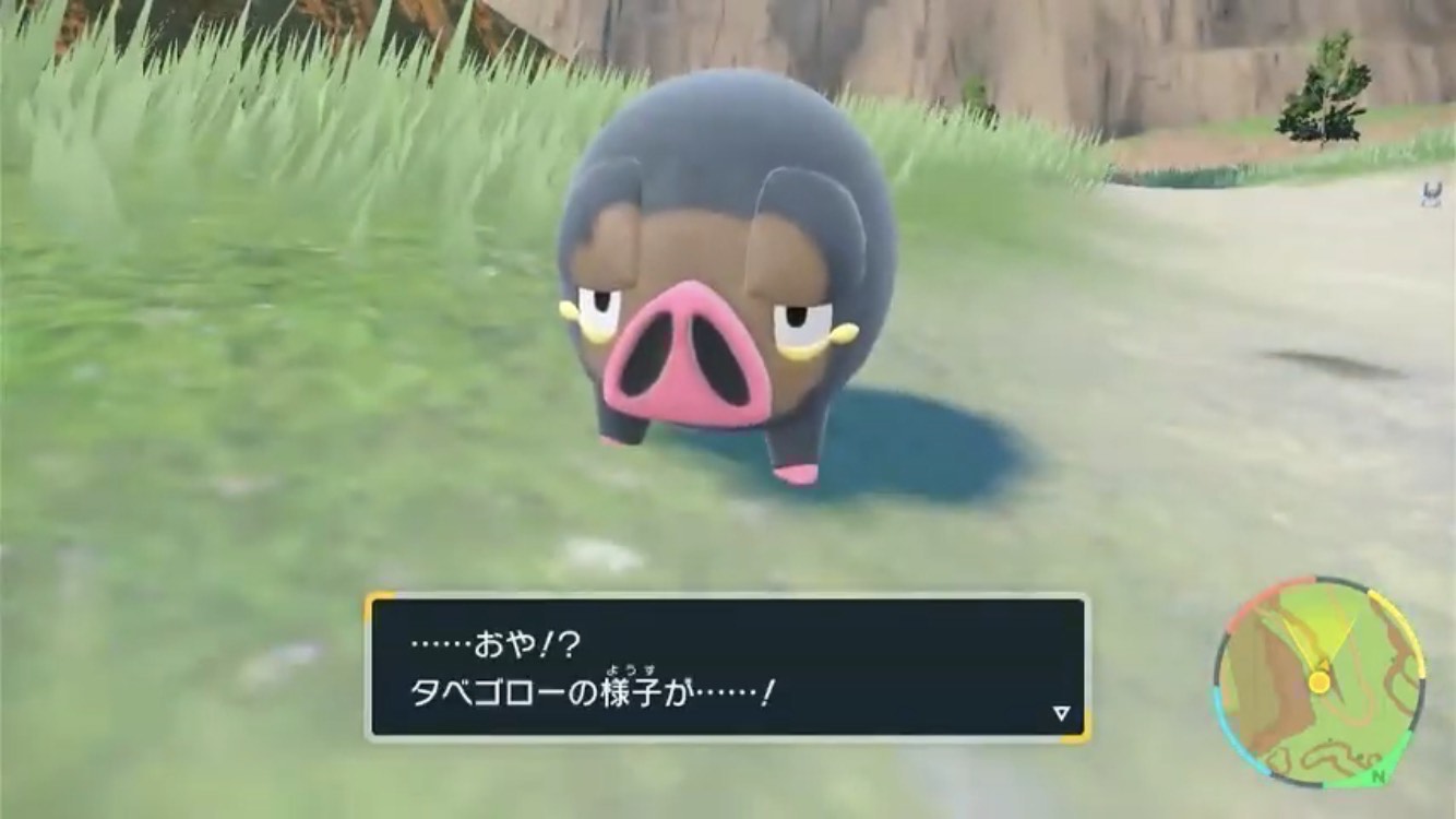どうも、けんけんぱのぱです