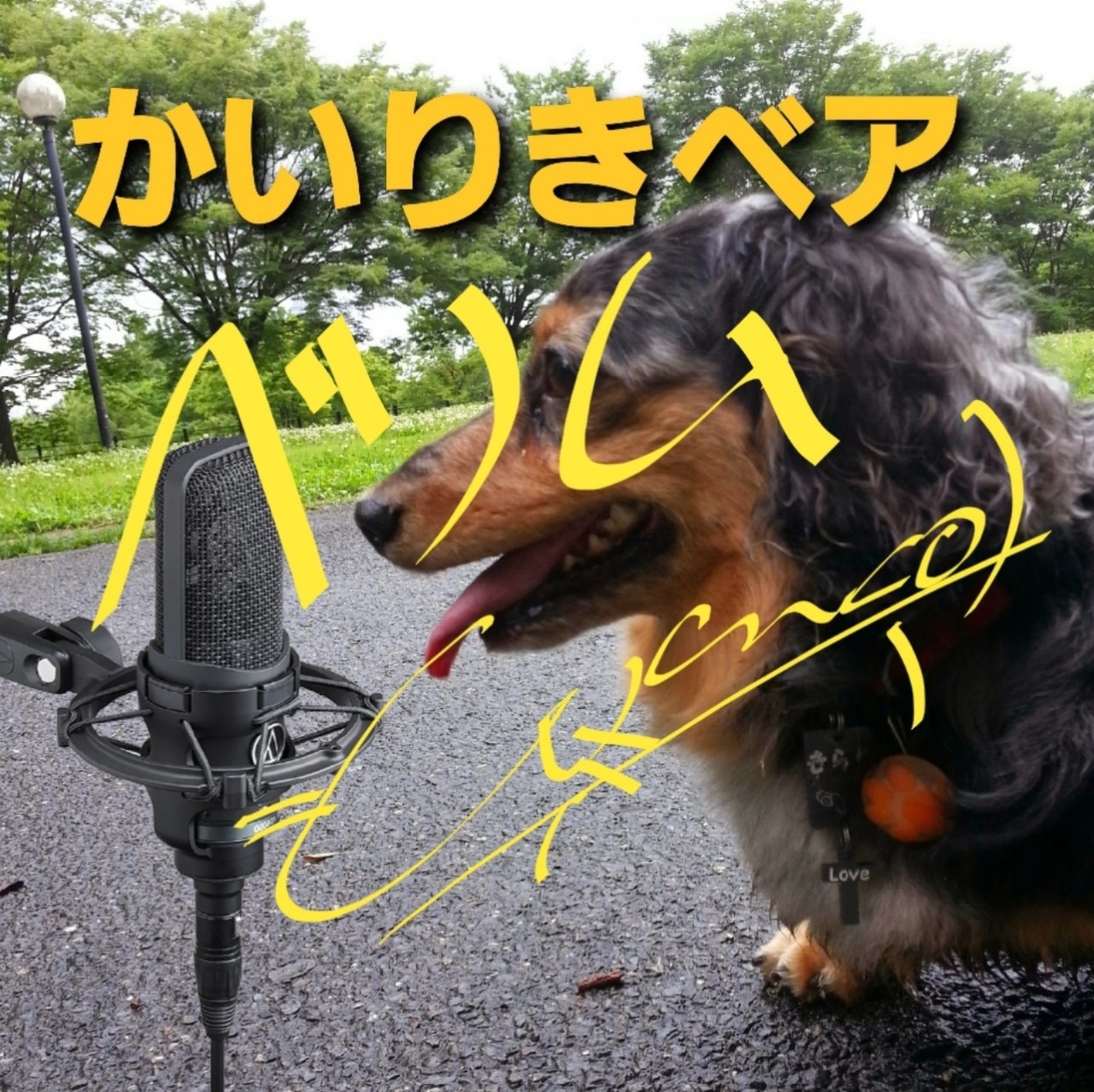 ベノム【かいりきベア】