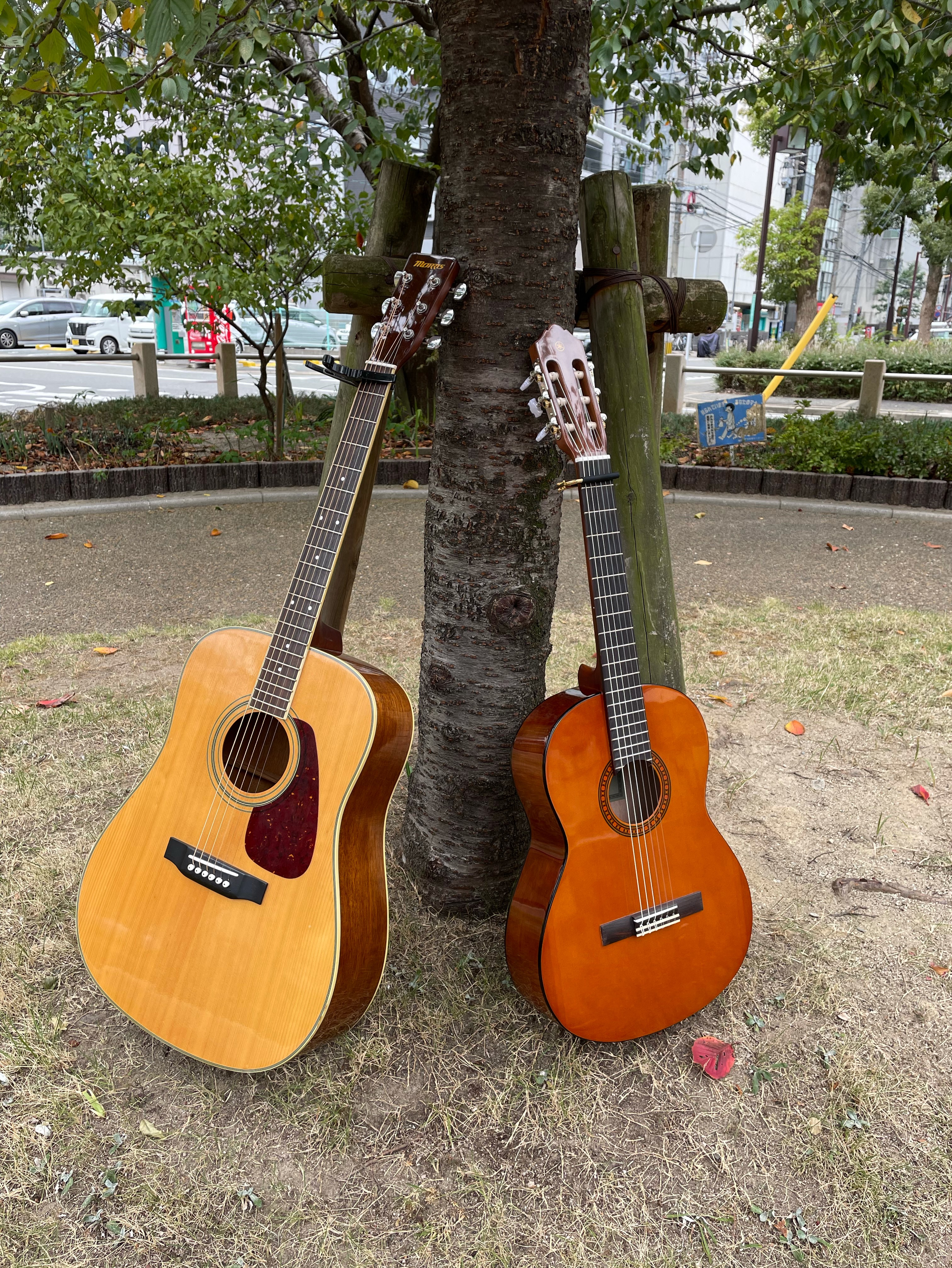 aiko、ゆず