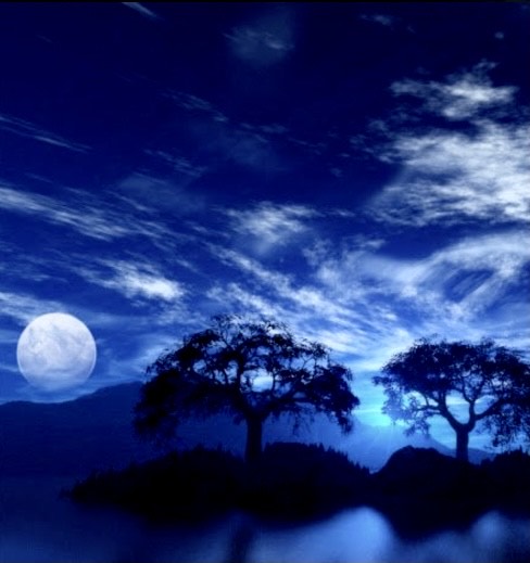 ウクレレオリジナル曲「ララキャット」