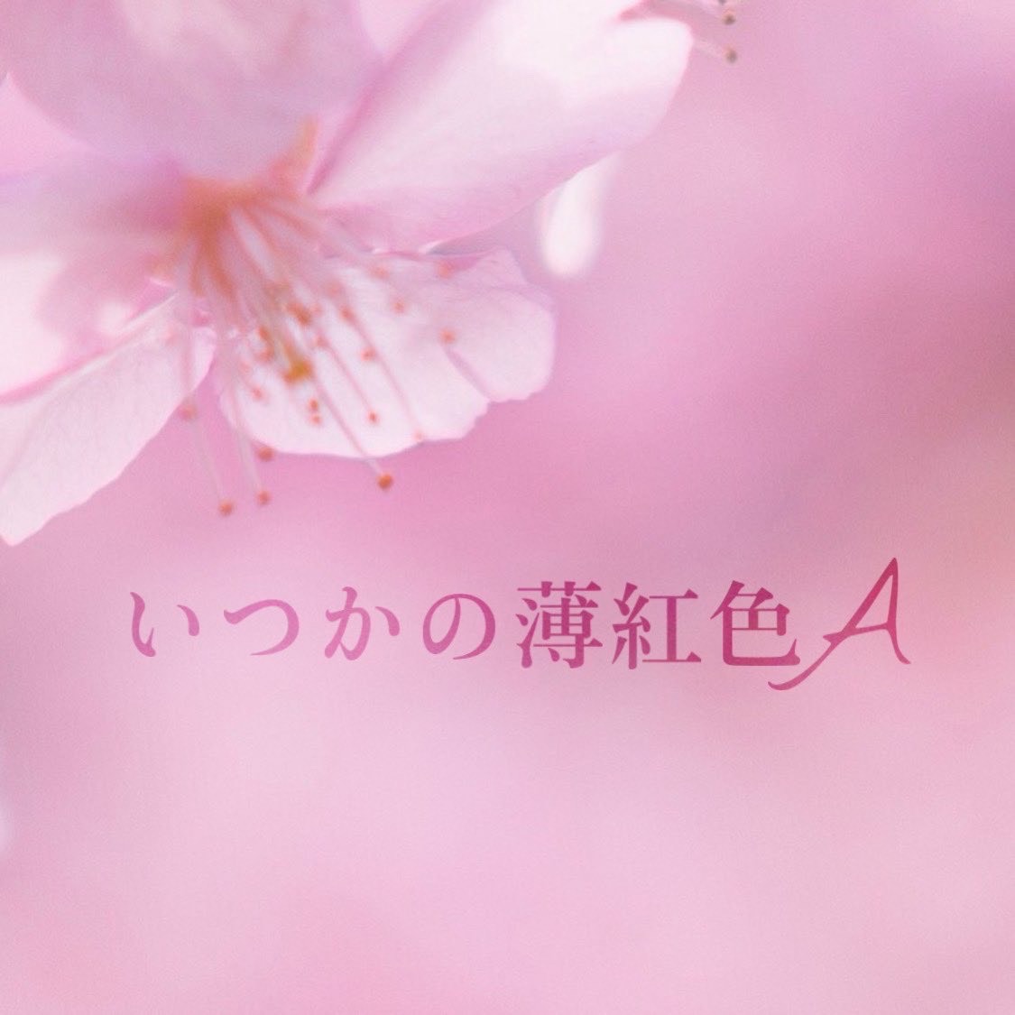 いつかの薄紅色【Ａ】