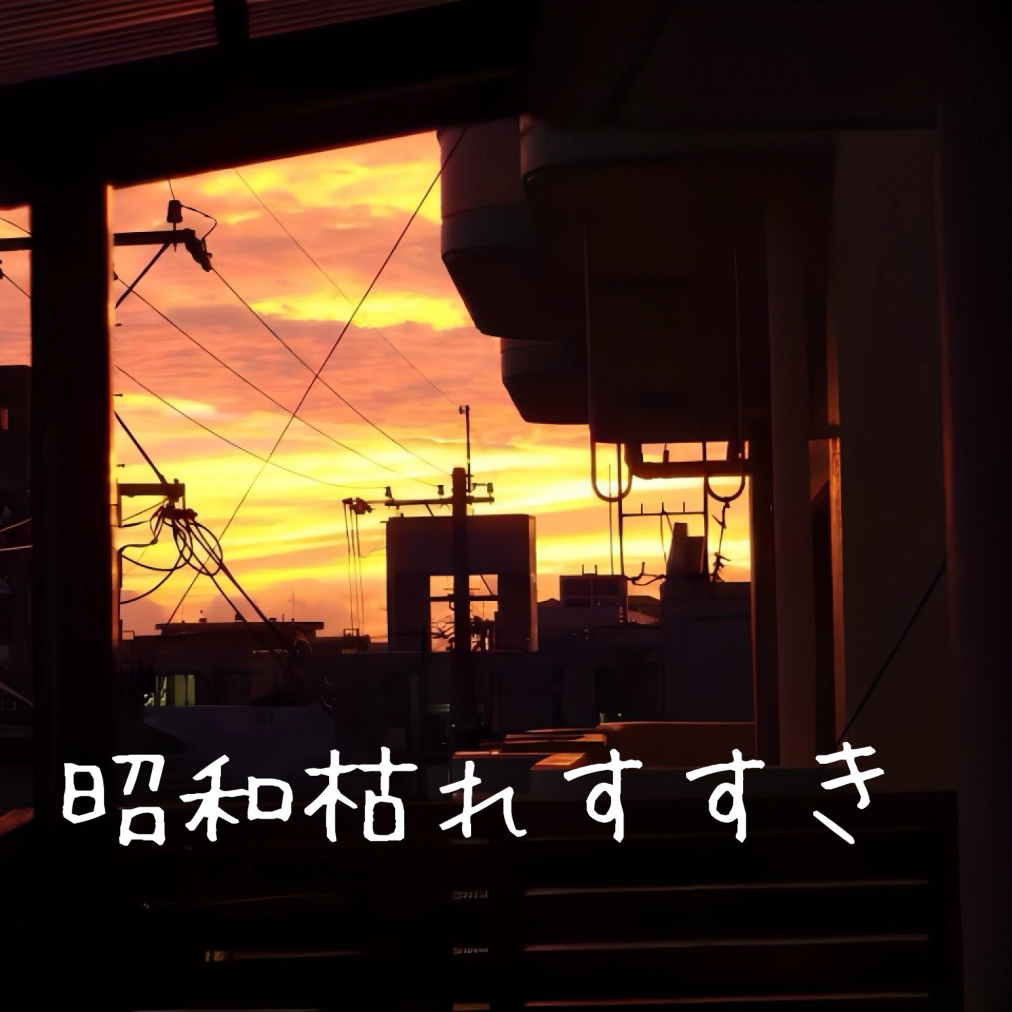 🎷昭和枯れすすき🌾
