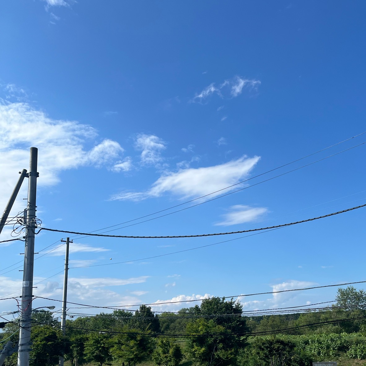 2025/07/21ー385