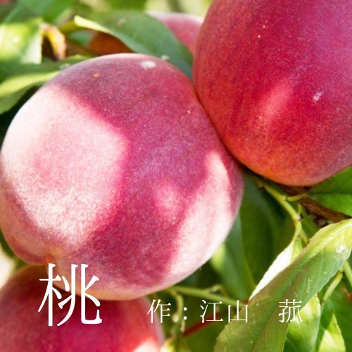 桃　／江山菰さま作品