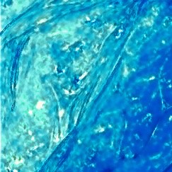 gel_03