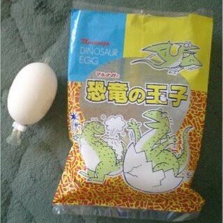 恐竜のタマゴ事件
