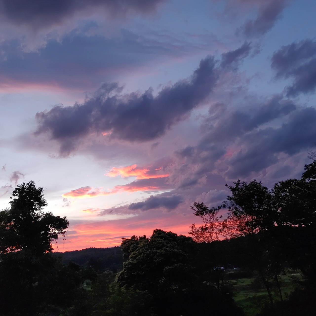 上司からもらった最高の右脳活躍アドバイス