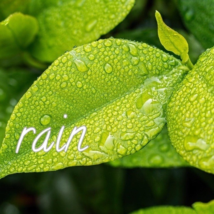 ♪rain