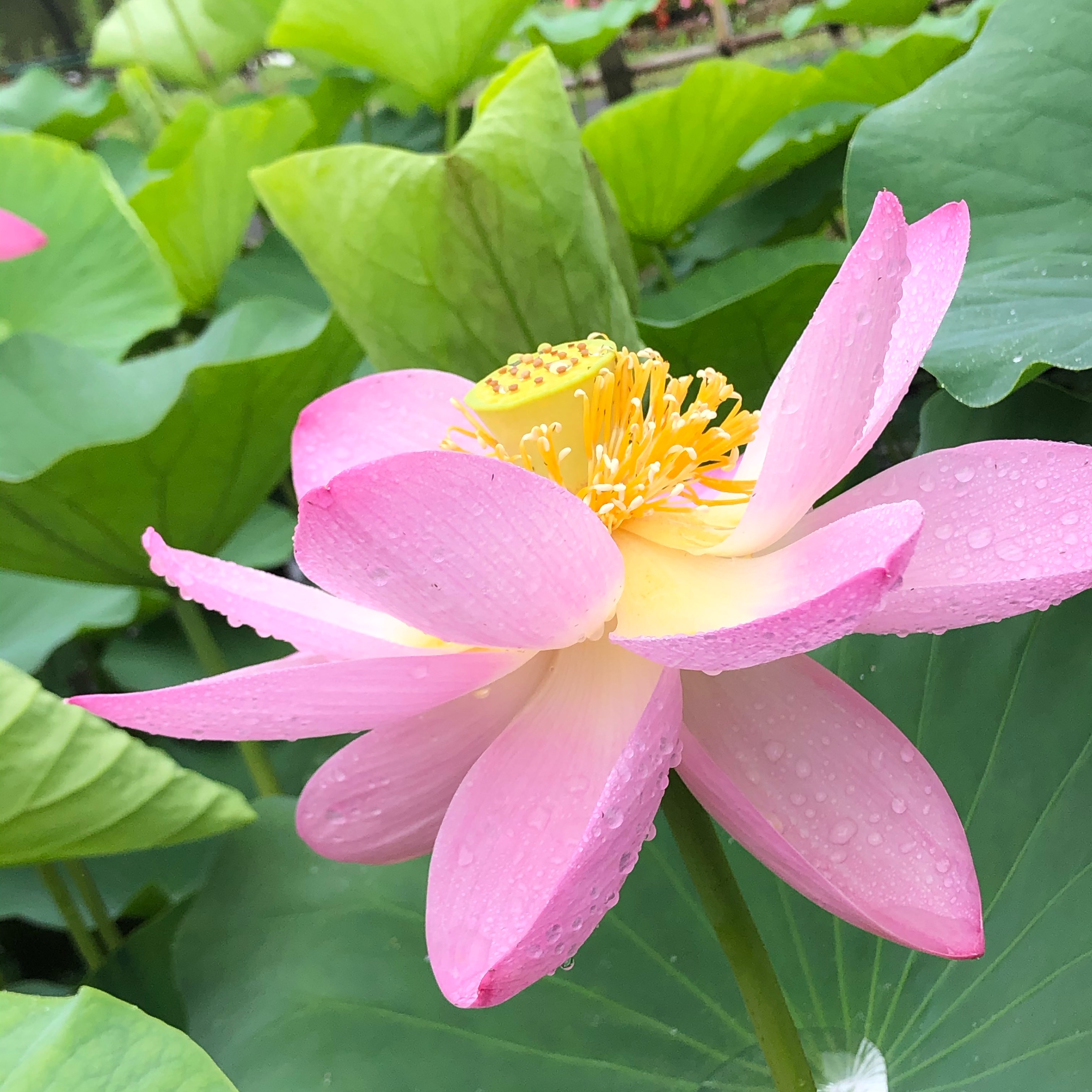 学生のみんなへ！