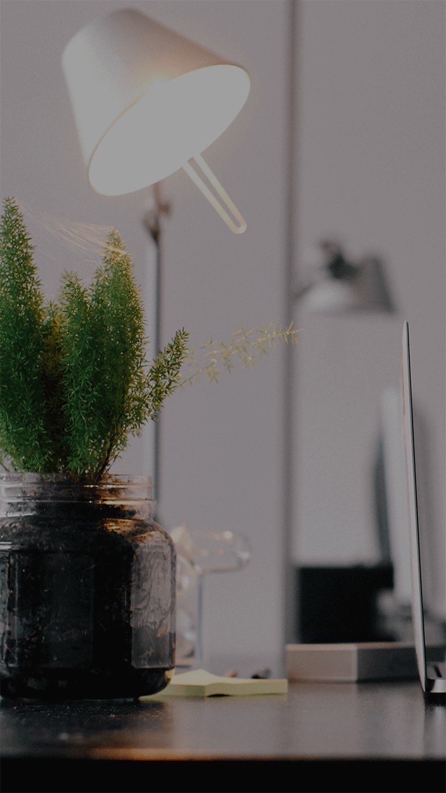 つまりひまつぶし