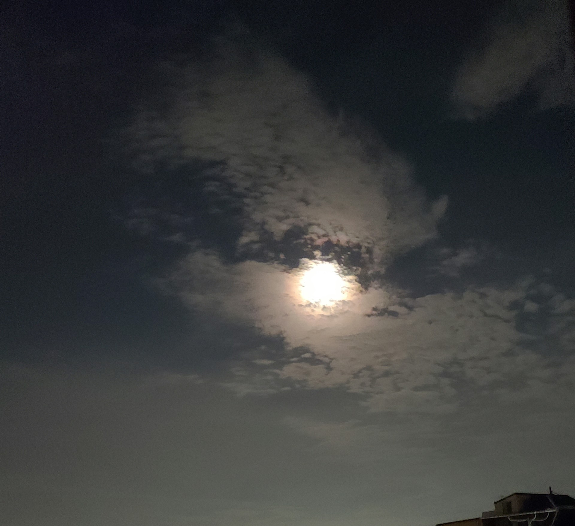 いつもの寝落ち