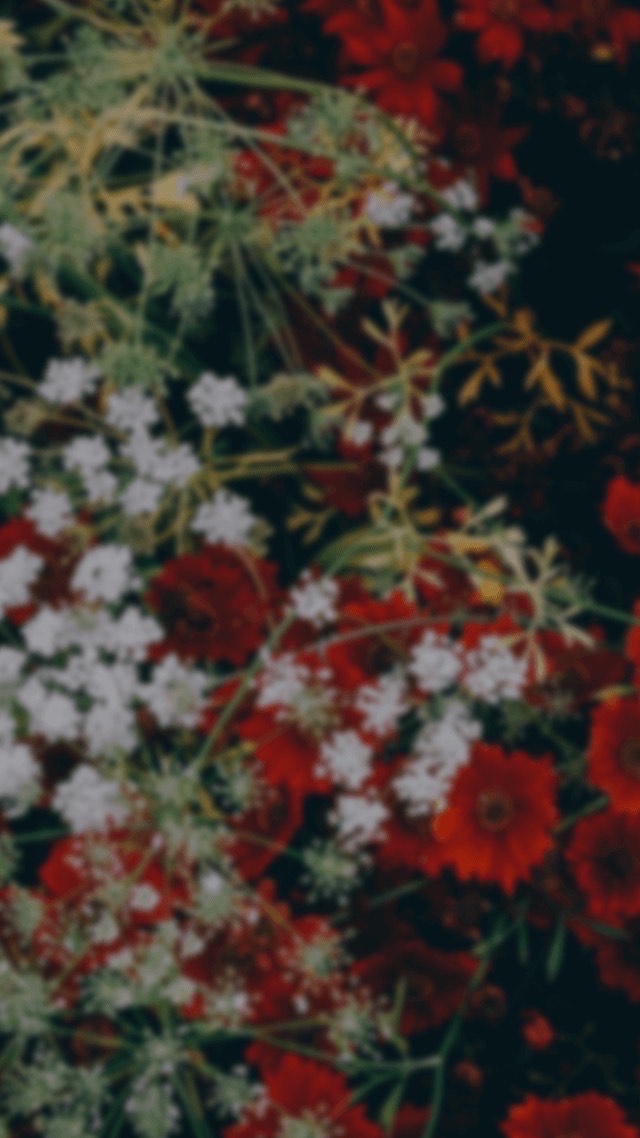 ゆっくりのんびり（初見コラボ〇）