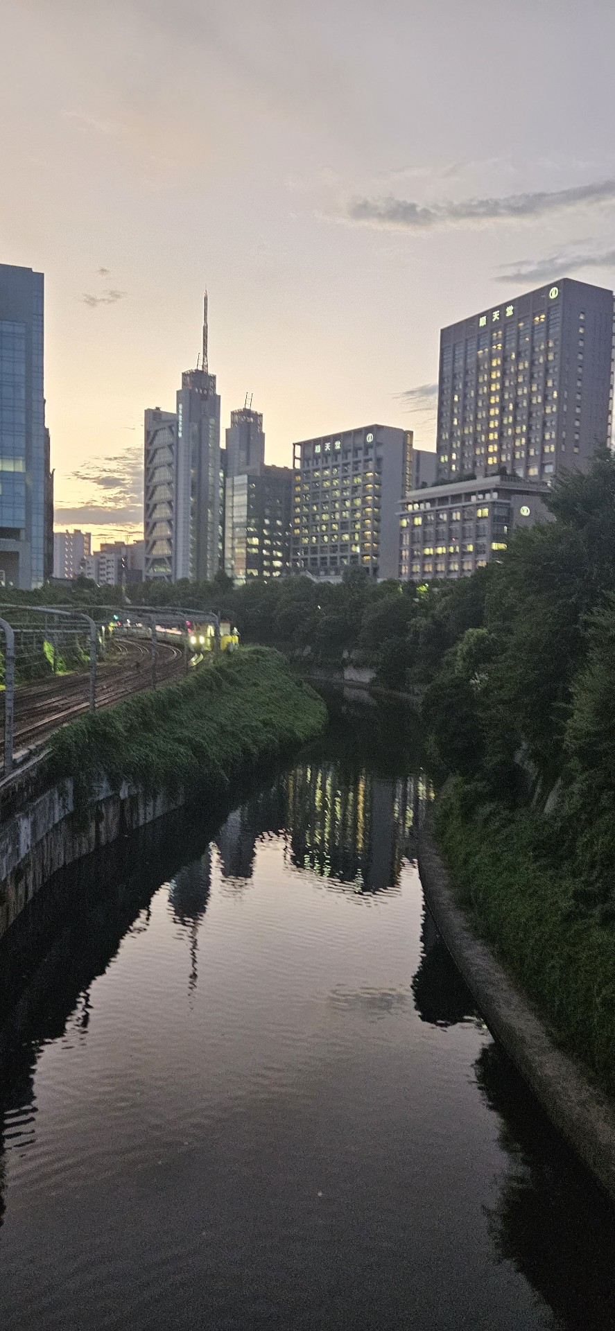 勉強配信 2限目 (90分から100分)