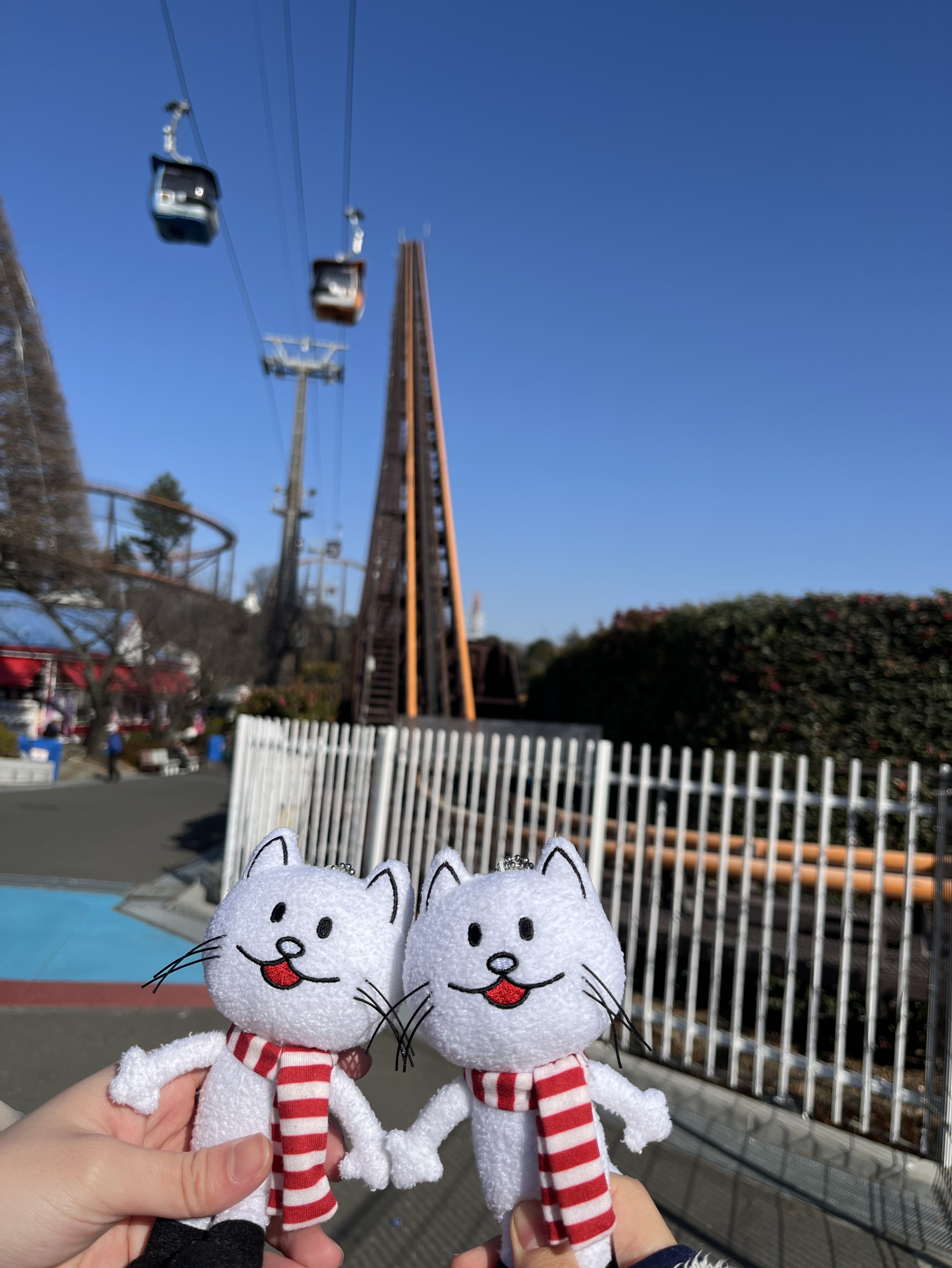 弾き語りたい🐢