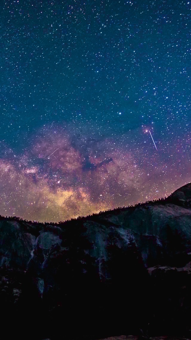 低音ボイスの枠。初見◎