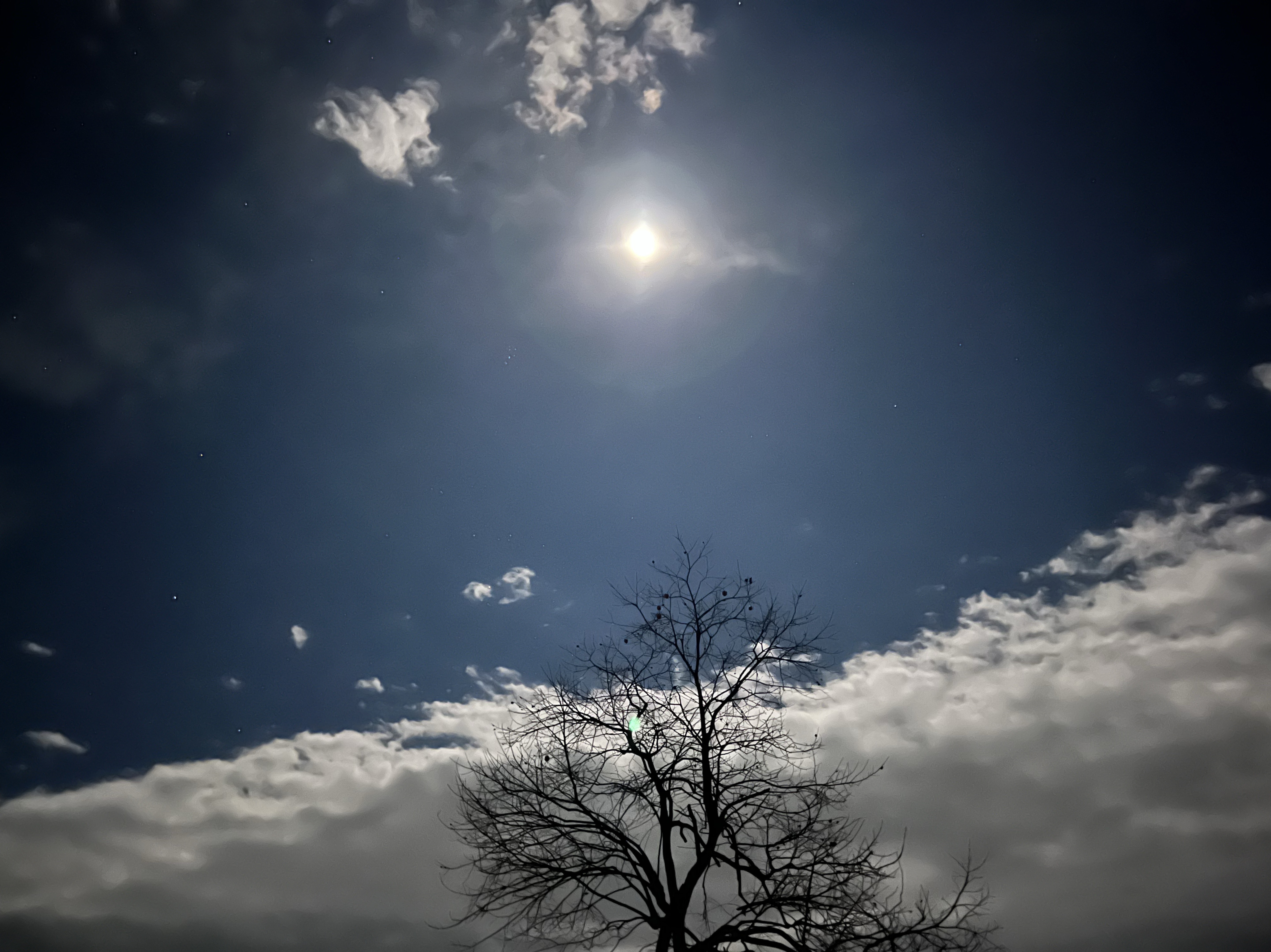 きままに弾き語り🎸