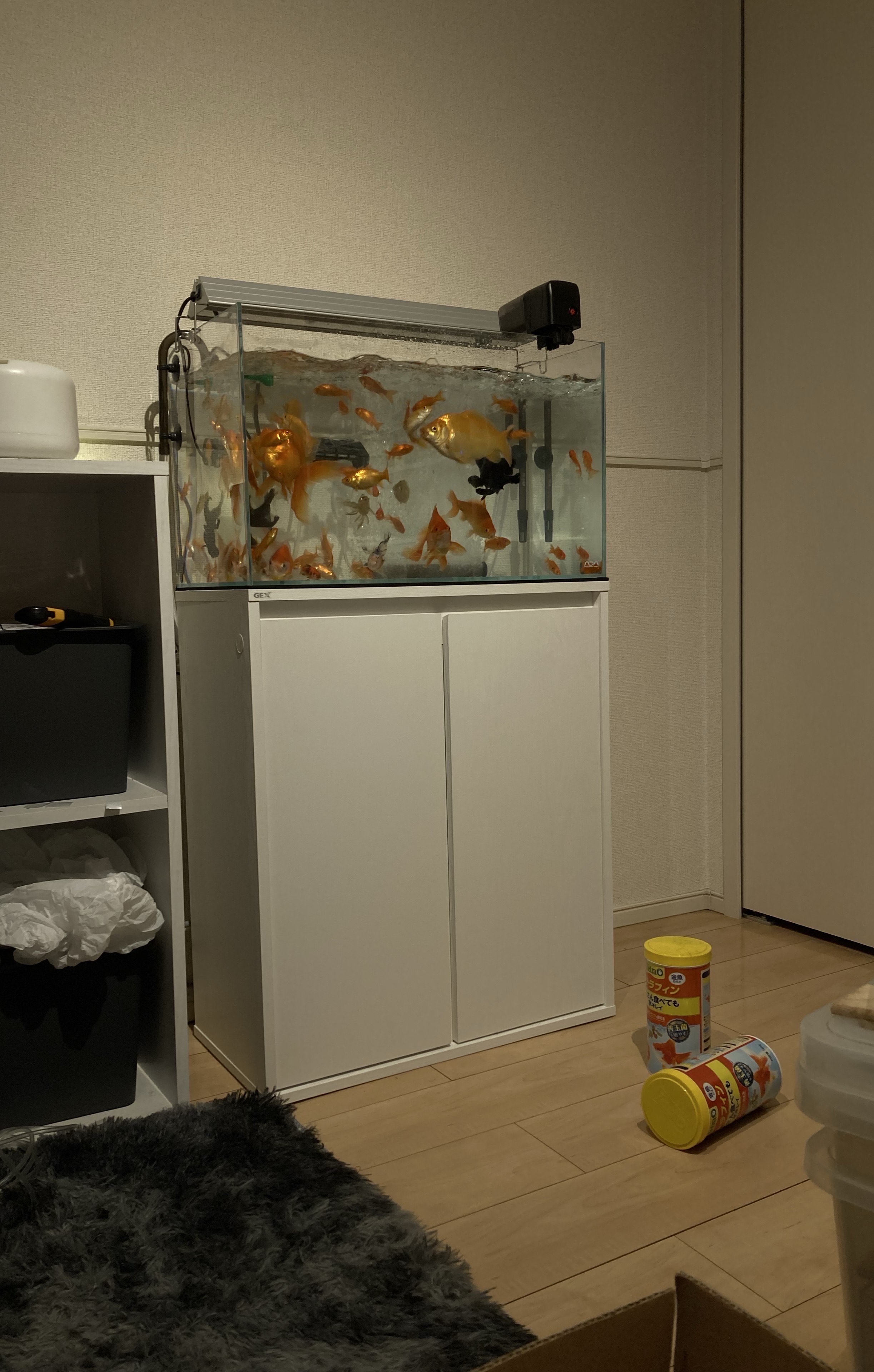 低音ﾎﾞｲｽ夜中のゆるらじ！#10