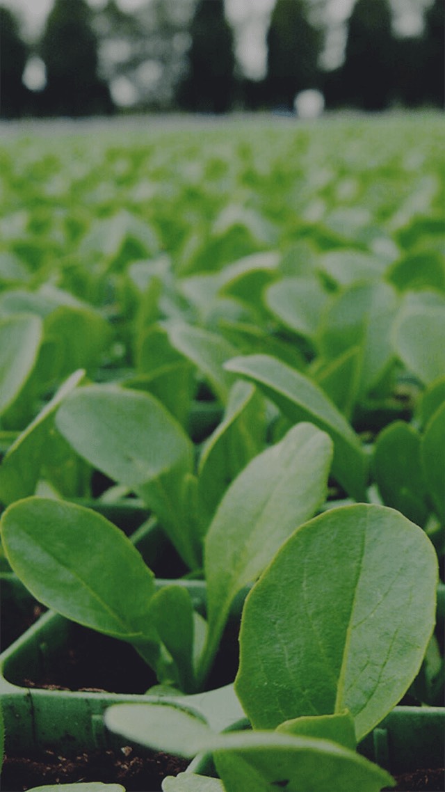 【雑談/寝落ち】人生詰んだちゃんの雑談！