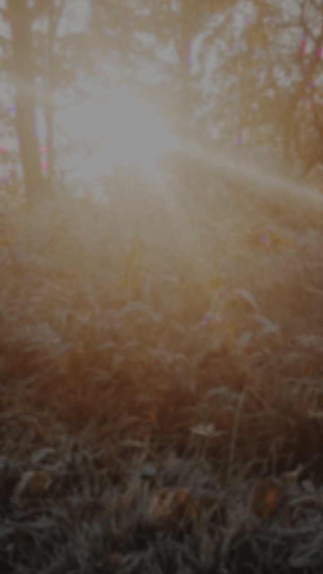 暇人による暇人のための暇つぶし