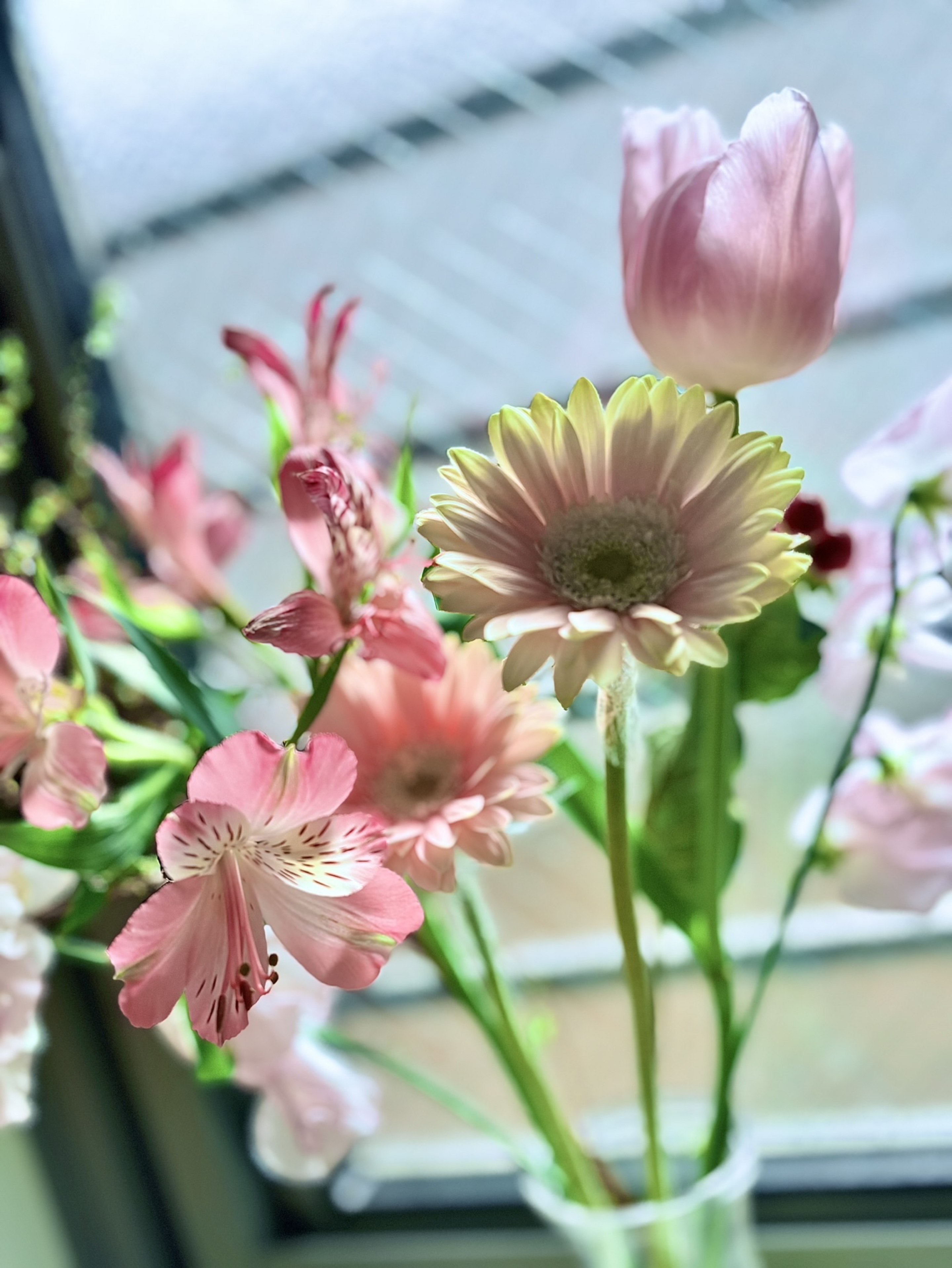 ギター弾き語り