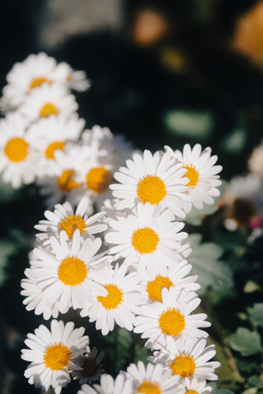 喫煙所　お勉強