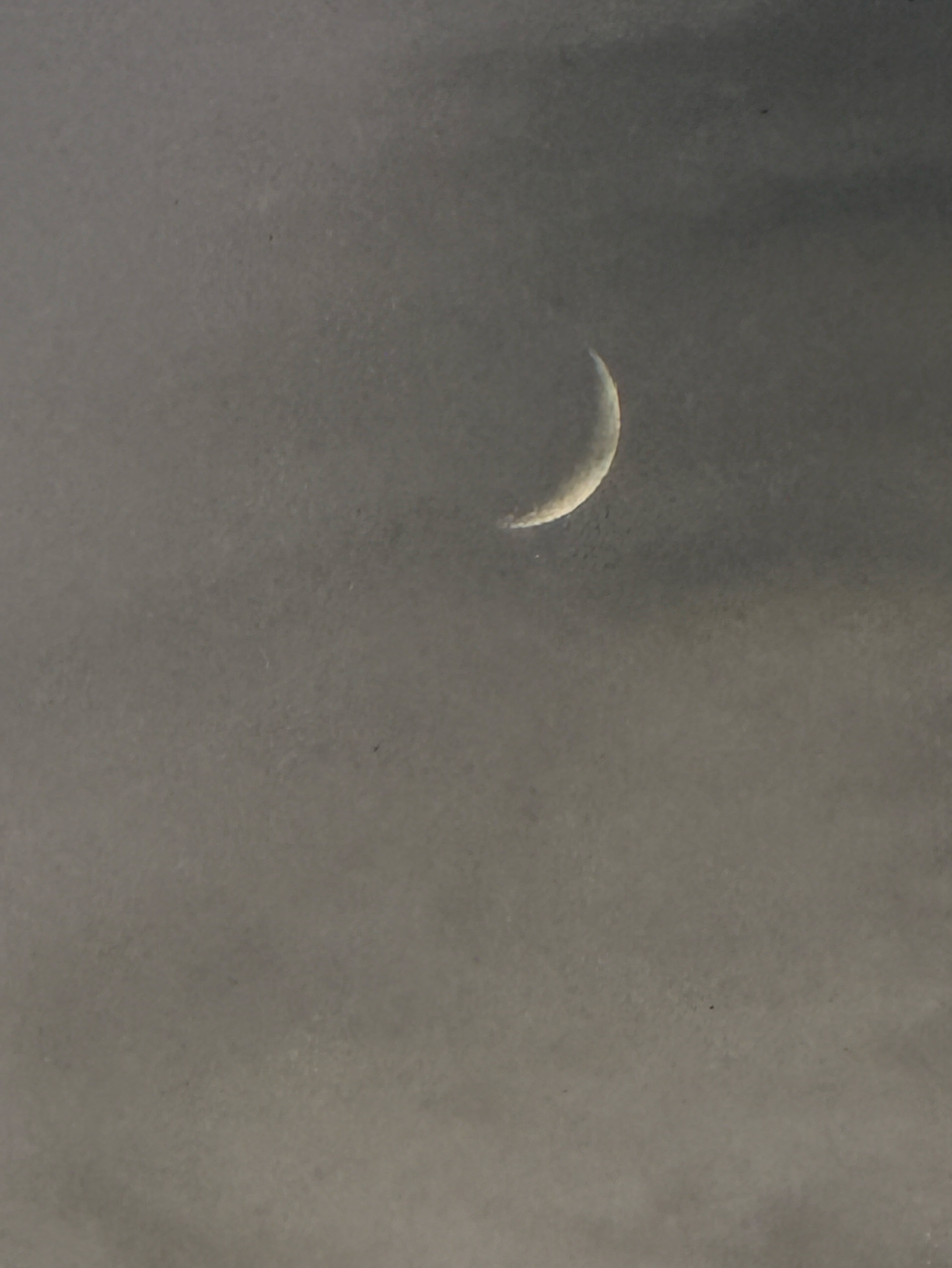 飲み弾き語り枠