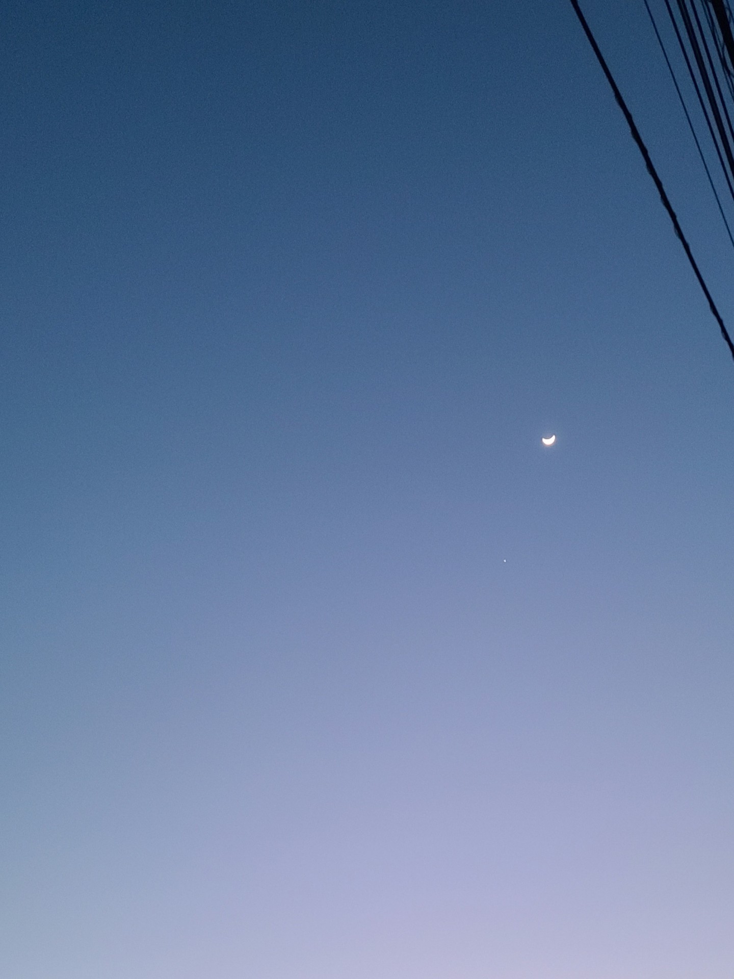 いつもの寝落ち