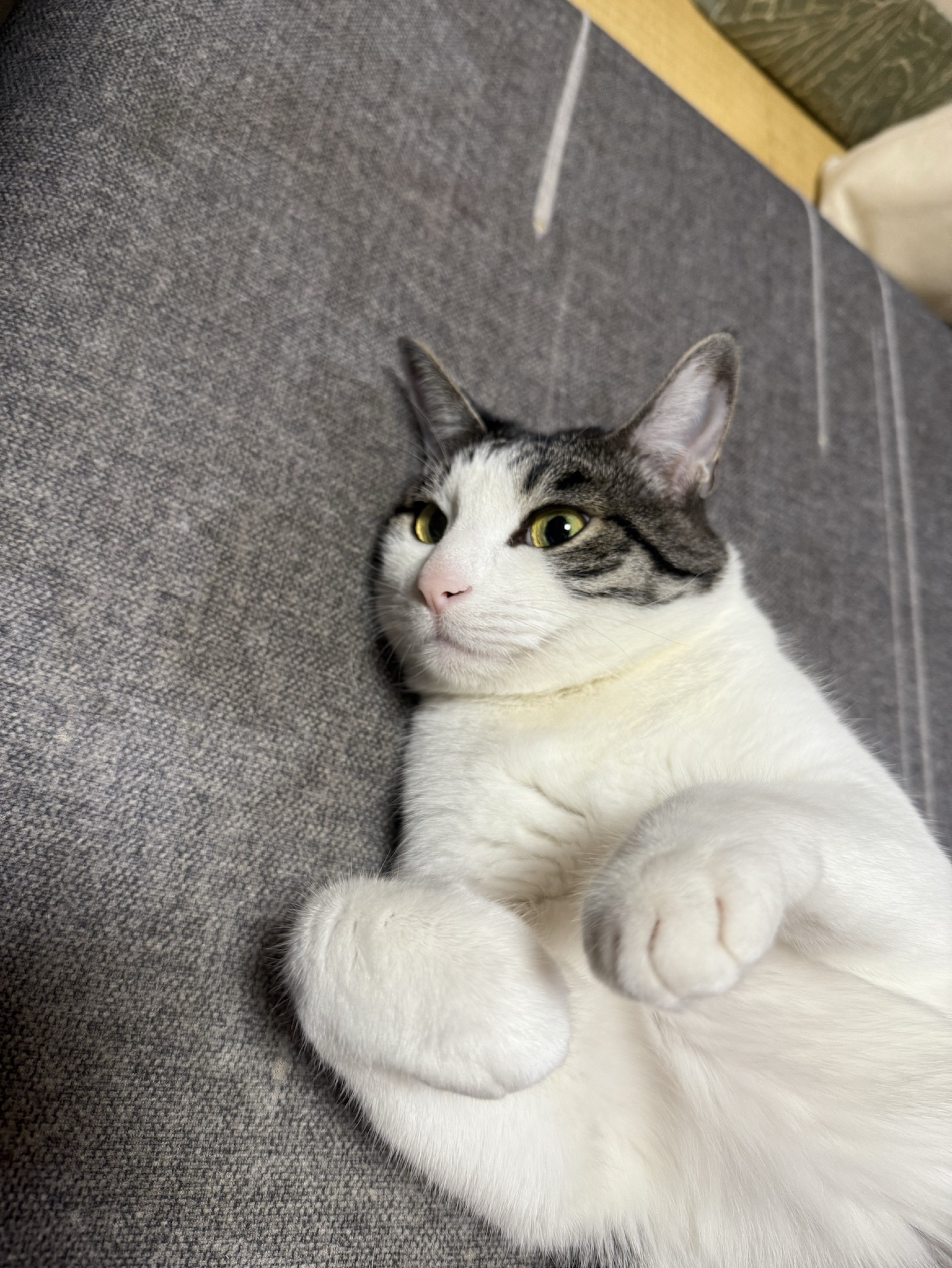 勉強しながら雑談