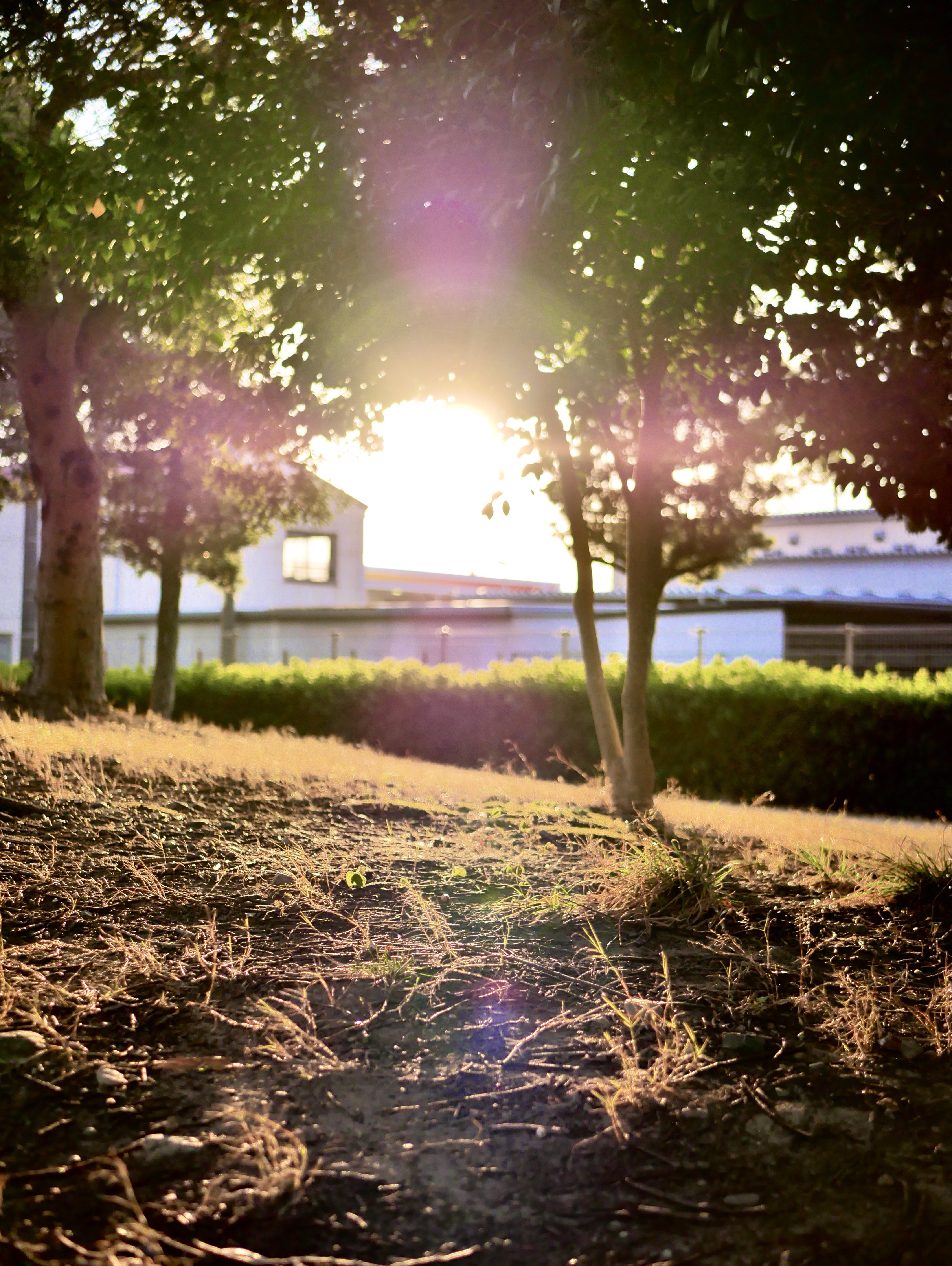 カメラが好きな人の為のラジオ