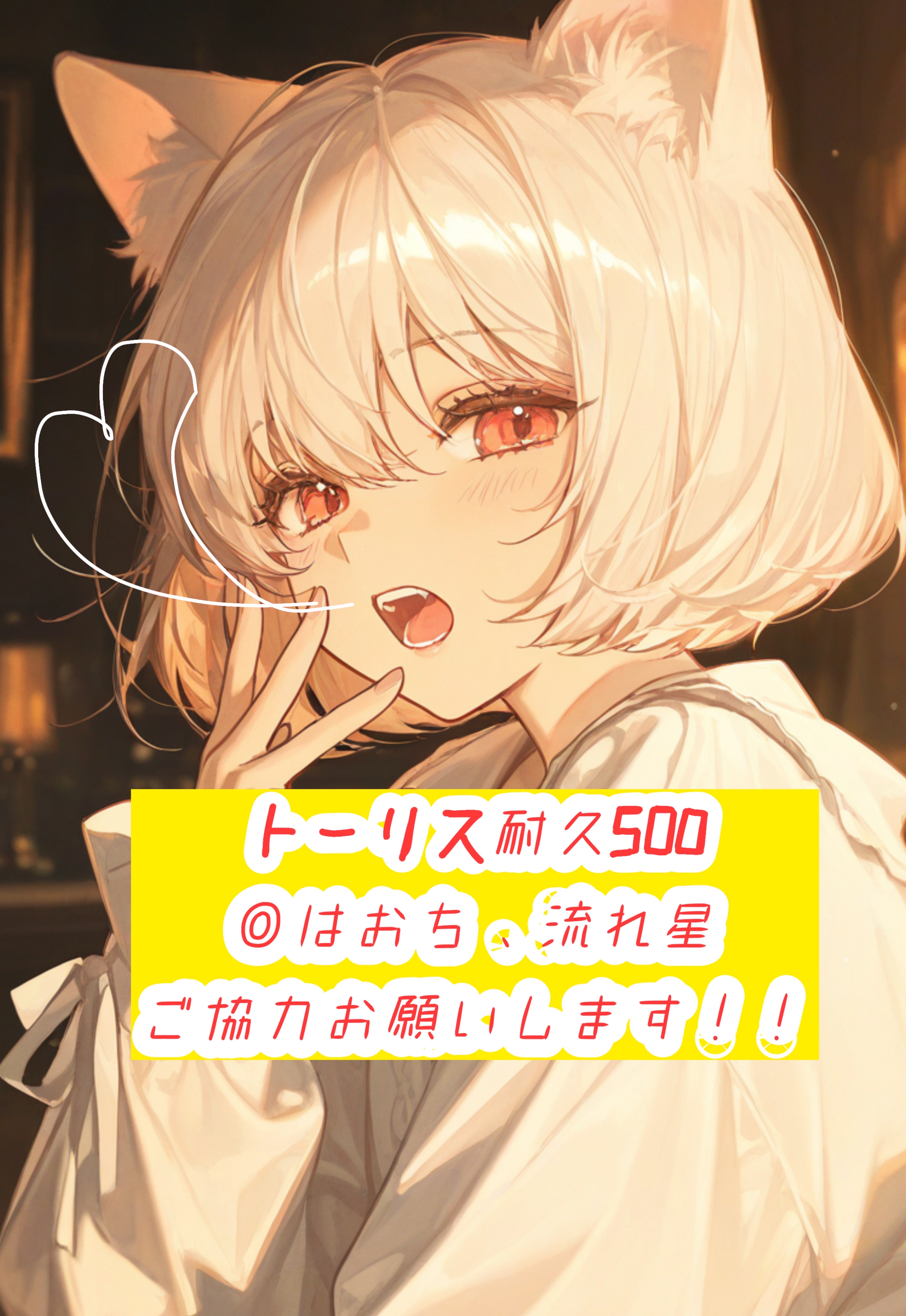 ◎はおち トーリス耐久500🙇‍♀️