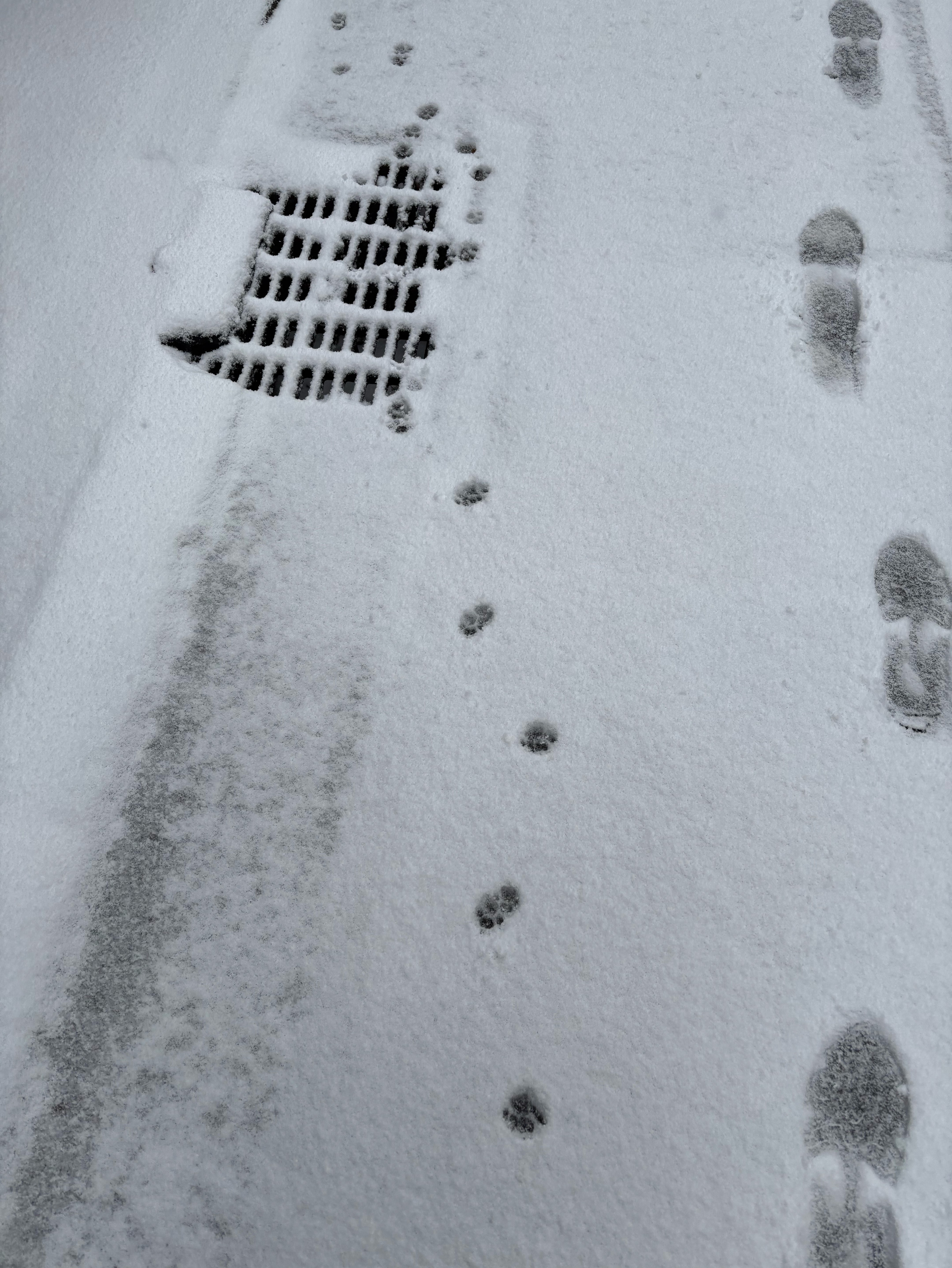 寝すぎたから勉強する